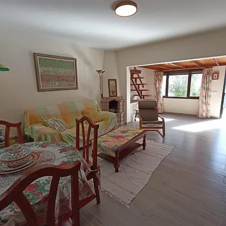 Strelitzia Puerto del Carmen (Lanzarote)