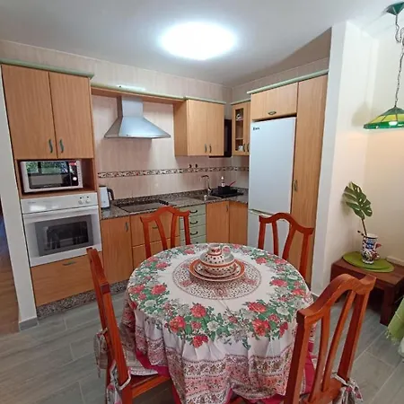 Strelitzia * Puerto del Carmen (Lanzarote)