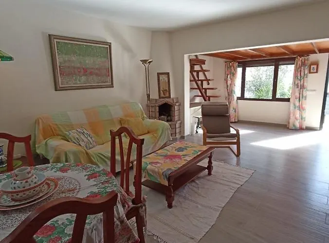 Strelitzia Puerto del Carmen (Lanzarote)